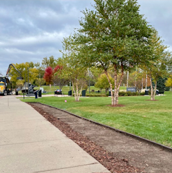 &ldquo;Veterans Park is undergoing a shrubbery replacement plan in 2025-2026. The original Ninebark shrubs were getting weather worn and bare in places. An agreement between the Veterans Park Committee and the North St. Paul Public Parks will replace the present Ninebark border hedge with new plantings of Arrowood Viburnum for added color and durability in Spring 2026. Stay tuned&rdquo;.